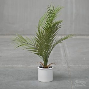 Artificial Palm Silk Tree in Ceramic Pot