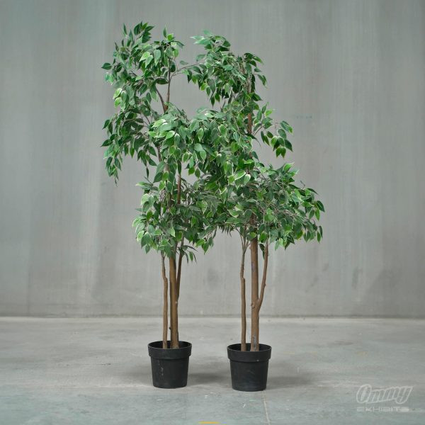 Artificial ficus tree rental