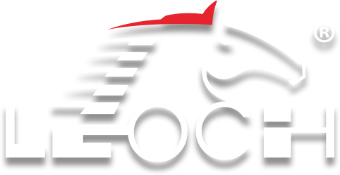 Leoch Battery Logo